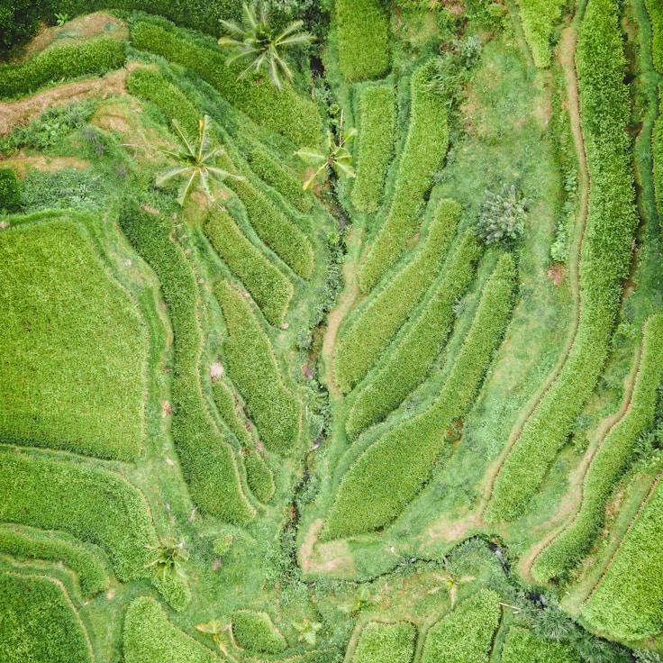 Entertainment zone at night in United Kingdom
